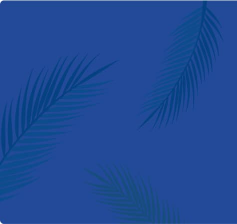 fondo azul con palmeras